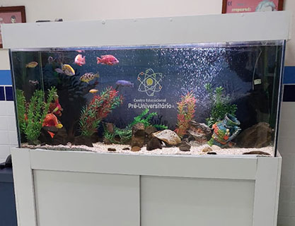 Estrutura do Colégio Pré-Universitário — foto 15